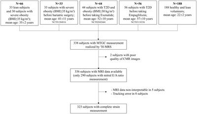 Is increased myocardial triglyceride content associated with early changes in left ventricular function? A 1H-MRS and MRI strain study